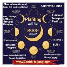 The Harvest Moon's symbolism of harvest and new beginnings